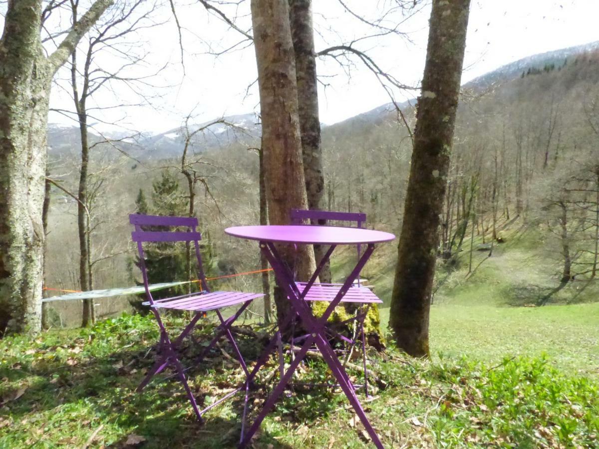 Glamping D'tente Sky