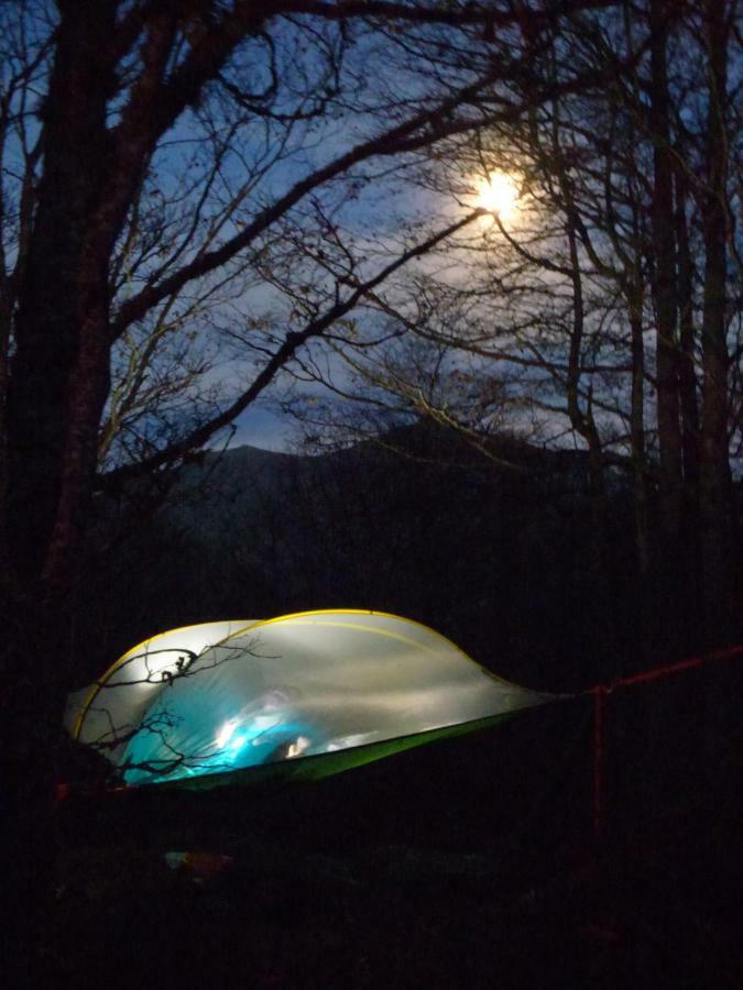 D'tente Sky Luxury tent Massat